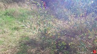 Օտար трахнул կին Կատվի բերանը, հետո խոհ անտառում